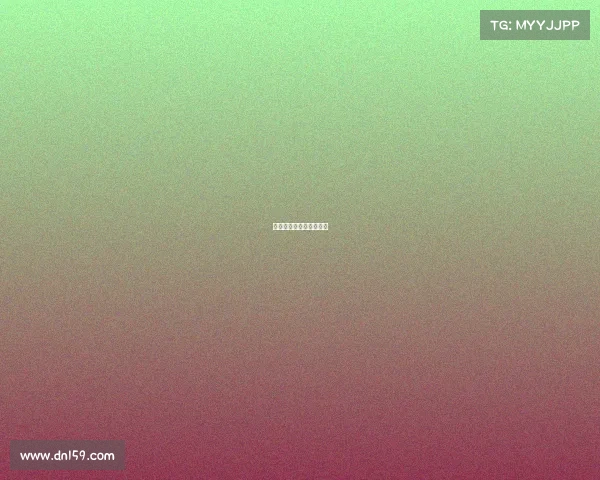 《无双战纪:破晓荣光》